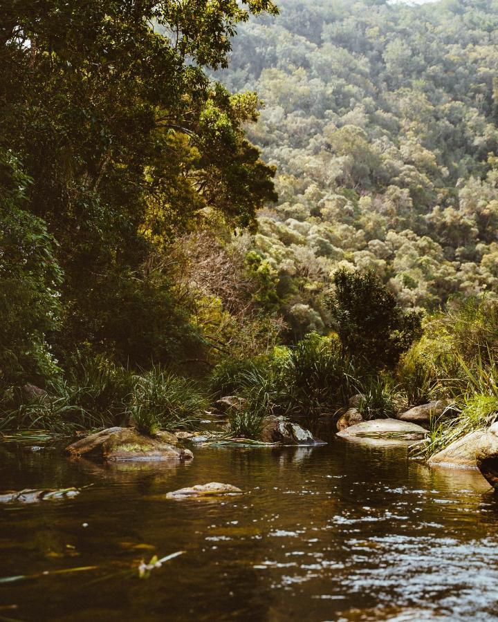 Nima Lodge Wilderness Buitenkant foto